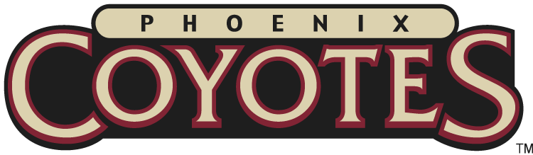 Phoenix Coyotes 2003-2008 Wordmark Logo iron on transfers for fabric